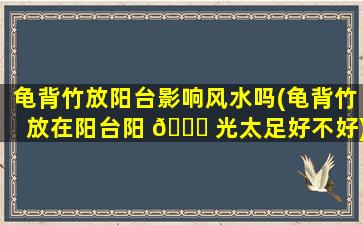 龟背竹放阳台影响风水吗(龟背竹放在阳台阳 🐞 光太足好不好)